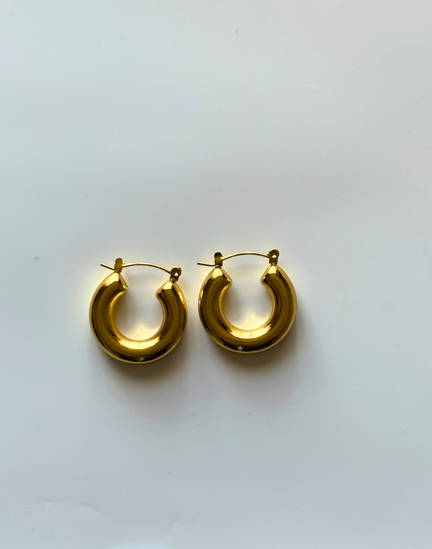 Felicia Hoops